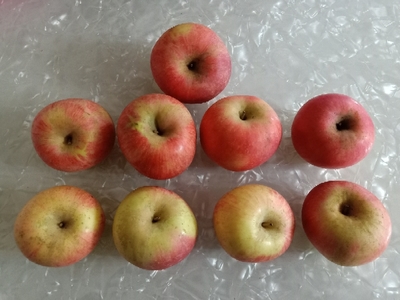 苹果与文化的交融之旅